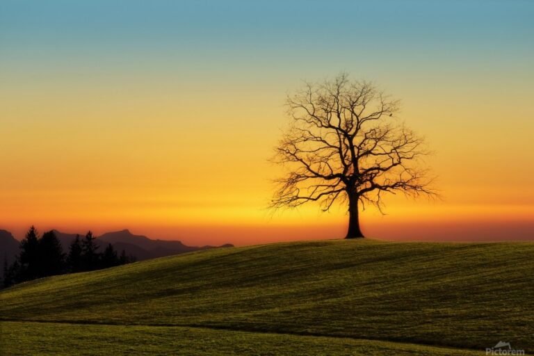 hamara luontomaisema auringonlaskun aikaan