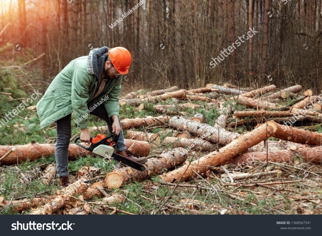 Mistä Löytää Tarjolla Olevat Kirvesmies Työpaikat Suomessa