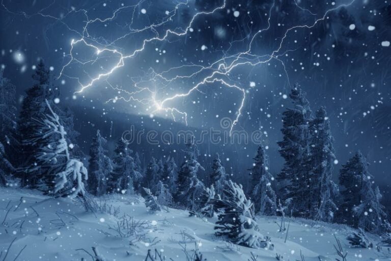 ukkometso metsassa talvimaisemassa