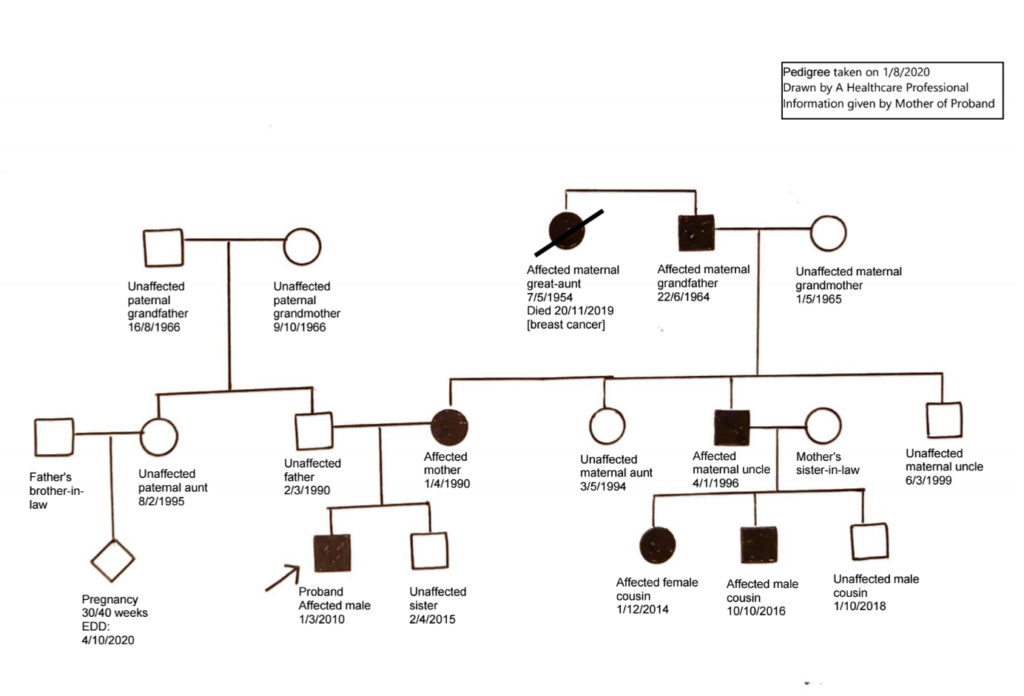 Kuka Perii, Jos Ei Ole Lapsia Perintöoikeuden Perusteet